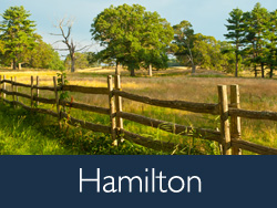 hamilton