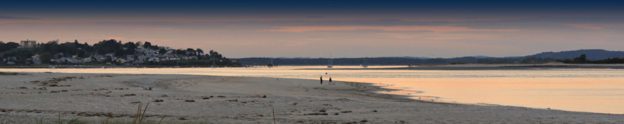 header_image